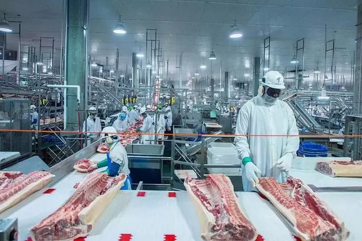 Curso-de-NR-36-Abate-e-Processamento-de-Carnes-e-Derivados